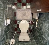 Családi ház csempézett WC-je fali tárolóval.