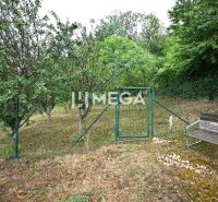 Kert fűvel és fákkal a Családi háznál a Poľana lakótelepen, Homonna.