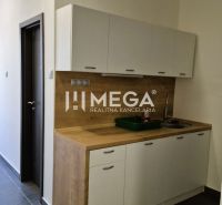 Irodai konyhasarok fa dekorációval és nagy ablakkal.