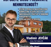 Ingatlaniroda hirdetése modern családi házzal és az ingatlanügynök elérhetőségeivel.