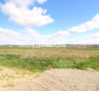 Kiterjedt füves területek Vranov nad Topľou-ban, lakóingatlanok számára alkalmasak.