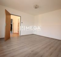 Családi ház belső tere fa dekorációjú padlóval, egyszerű fehér falakkal és nagy faajtókkal.