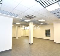 Kereskedelmi helyiségek fehér falakkal és fa dekorációjú szürke padlóval.
