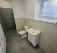 Fürdőszoba egy kétszobás lakásban WC-vel, mosdóval és zuhanyzóval zuhanyfüggöny nélkül.