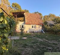 Újváradi teraszos ház, természet által körülvéve, szőlőültetvényekkel és erdő háttérrel.