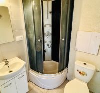 Fürdőszoba zuhanyzóval, mosdóval és WC-vel egy egyszobás lakásban.