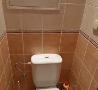 Fürdőszoba WC-vel egy kétszobás lakásban, világos csempék, tisztítószerek, öblítőtartály.
