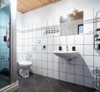Fürdőszoba WC-vel és zuhanyzóval, szállodák és panziók, dekoratív mintás csempék.