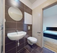 Fürdőszoba WC-vel, zuhanyzó, mosdó, kilátás a helyiségre, garzonlakás.