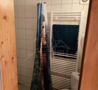 Fürdőszoba a házikóban csempézett fallal, függönnyel és fűtőtesttel.