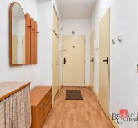 Folyosó egy kétszobás lakásban fa mintázatú padlóval, tükörrel és fogasfallal.