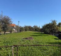 Zöldterületek és fák a lakóterületeken Kovarce-ban a kék ég alatt.