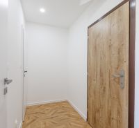 2 szobás lakás előszobája fa mintázatú padlóval és fa ajtókkal.