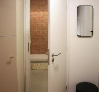 1 szobás lakás belső tere nyitott ajtóval, tükörrel és fa dekorációjú padlóval.