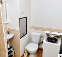 Fürdőszoba a garzonlakásban mosógéppel, WC-vel és mosdóval, fa dekorációjú padlóval.