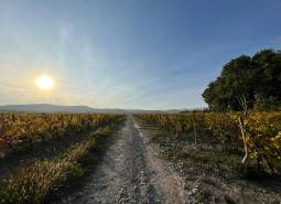 Okolie projektu.jpeg