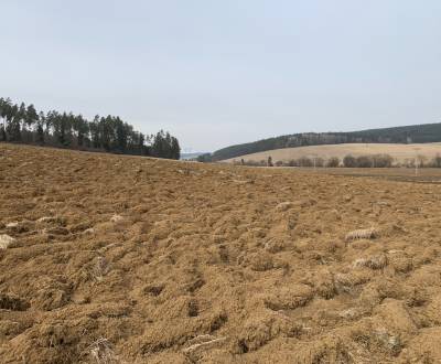 Mezőgazdasági és erdei telkek, eladó, Spišská Nová Ves, Szlovákia