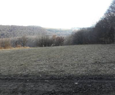 Eladó Mezőgazdasági és erdei telkek, Nová Bošáca, Nové Mesto nad Váhom