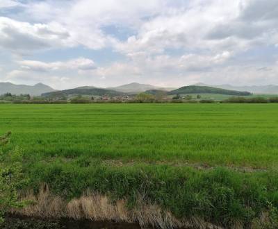 Eladó Mezőgazdasági és erdei telkek, Mezőgazdasági és erdei telkek, Le