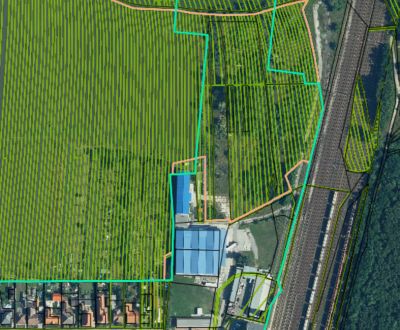 Eladó Mezőgazdasági és erdei telkek, Mezőgazdasági és erdei telkek, St