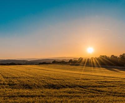 Vásárlás Kertek, Žabí majer, Bratislava - Staré Mesto, Szlovákia