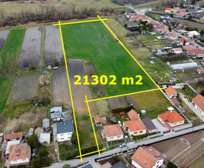Eladó Mezőgazdasági és erdei telkek, Mezőgazdasági és erdei telkek, Vo