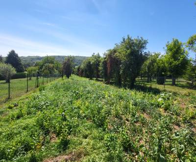 Eladó Építési telek, Építési telek, Neusiedl am See, Ausztria