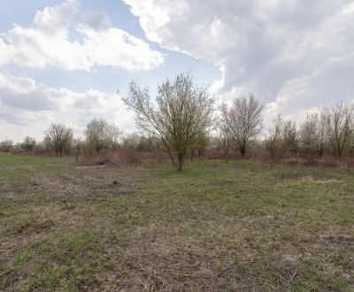 Eladó Kertek, Kertek, Dolná, Malacky, Szlovákia