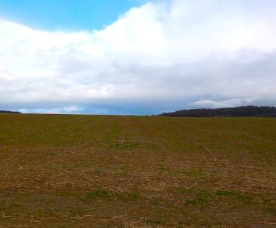 Eladó Építési telek, Építési telek, Trnava, Szlovákia