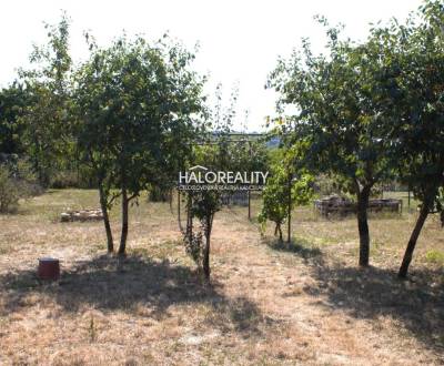 Eladó Kertek, Trnava, Szlovákia