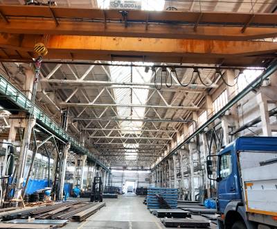 Kiadó Raktárak és ipari épületek, Raktárak és ipari épületek, Skladová