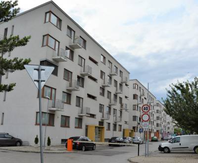 Kiadó 3 szobás lakás, 3 szobás lakás, Botanická, Nitra, Szlovákia