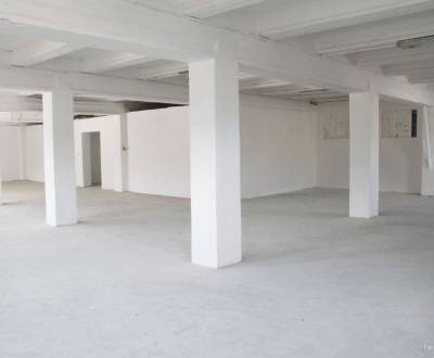 Kiadó Raktárak és ipari épületek, Raktárak és ipari épületek, Skladová