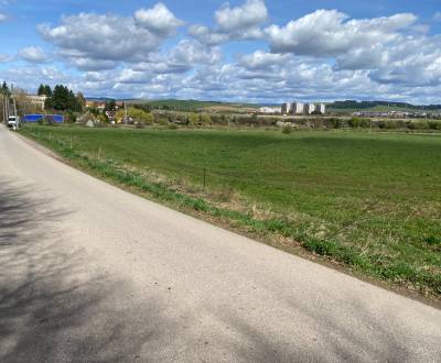 Eladó Mezőgazdasági és erdei telkek, Mezőgazdasági és erdei telkek, Ma