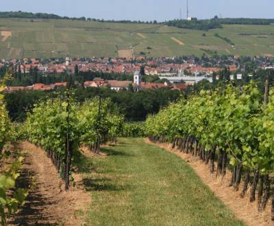 Eladó Kertek, Kertek, Ružová dolina, Trnava, Szlovákia