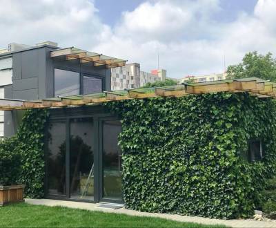 Kiadó Családi ház, Családi ház, Korytnická, Bratislava - Podunajské Bi