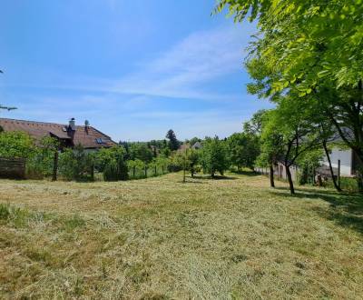 Eladó Építési telek, Építési telek, Kollárova, Senec, Szlovákia