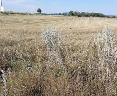 Kiadó Telkek - kereskedelmi célra, Telkek - kereskedelmi célra, Twin C