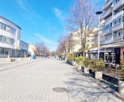 Kiadó Üzlethelység, Üzlethelység, Lichnerova, Senec, Szlovákia