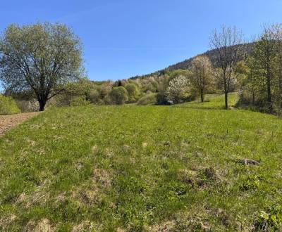 Eladó Üdülőtelkek, Üdülőtelkek, Žilina, Szlovákia