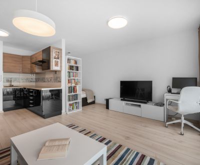 Kiadó 1 szobás lakás, 1 szobás lakás, Nad lúčkami, Bratislava - Karlov