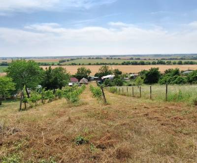 Eladó Nyaraló, Nyaraló, Levice, Szlovákia