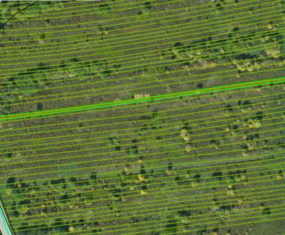 Eladó Mezőgazdasági és erdei telkek, Mezőgazdasági és erdei telkek, Ko