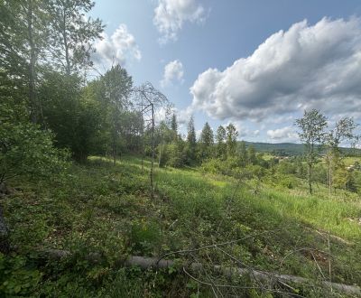 Eladó Üdülőtelkek, Üdülőtelkek, Raková, Čadca, Szlovákia