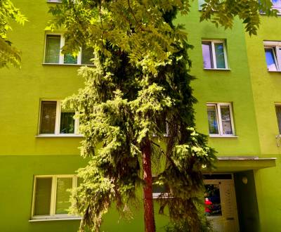 Eladó 4 szobás lakás, 4 szobás lakás, Špačinská cesta, Trnava, Szlovák