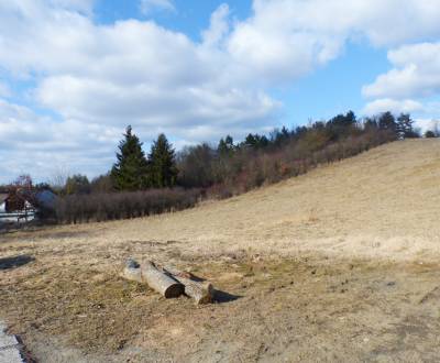 Kiadó Mezőgazdasági és erdei telkek, Mezőgazdasági és erdei telkek, Pr