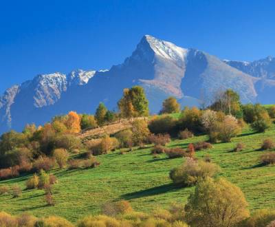 Eladó Mezőgazdasági és erdei telkek, Mezőgazdasági és erdei telkek, Li