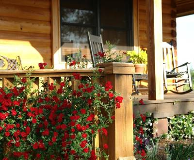 Vásárlás Családi ház, Családi ház, Topoľčany, Szlovákia