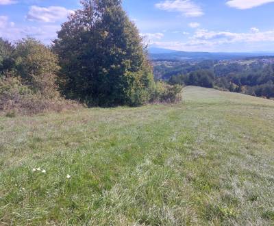 Eladó Mezőgazdasági és erdei telkek, Mezőgazdasági és erdei telkek, Ba