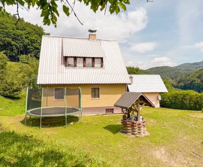 Eladó Családi ház, Családi ház, Sidonie, Rybníček, Cseh köztársaság